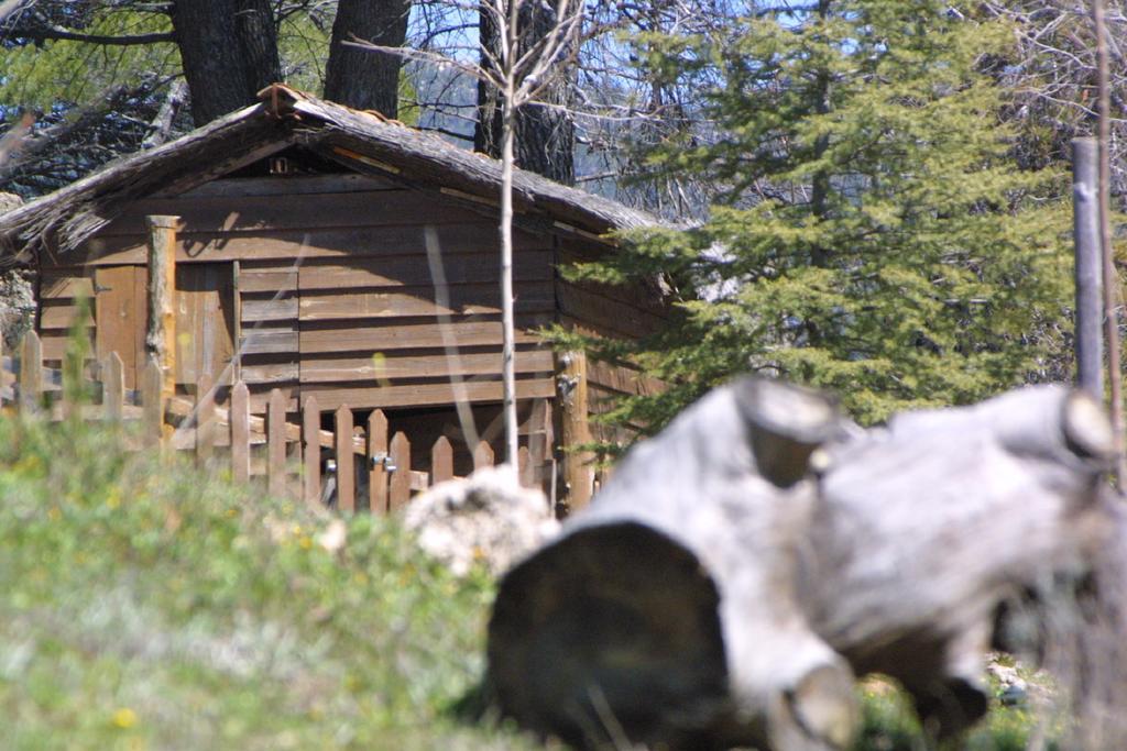 Alojamiento Rural Las Maravillas Canada Catena Exterior photo